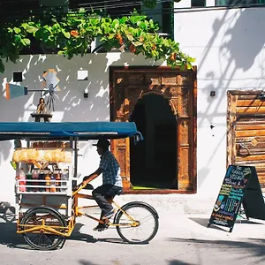 https://the-green-village-boutique-hotel.quintano-roohotels.com
